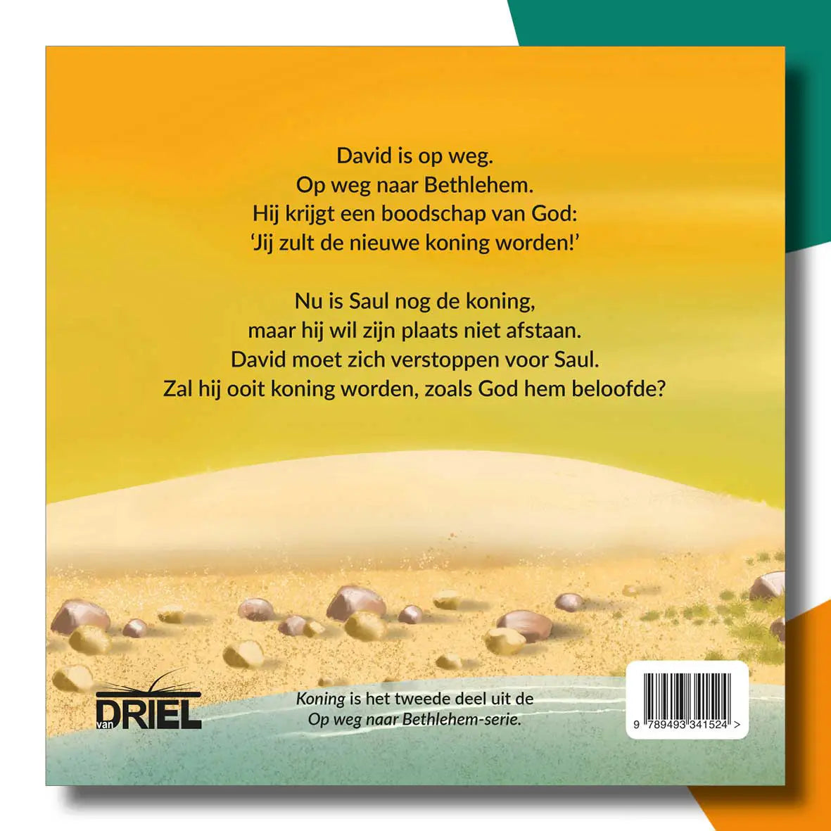 Koning - Het verhaal van David | Terènce van Driel
