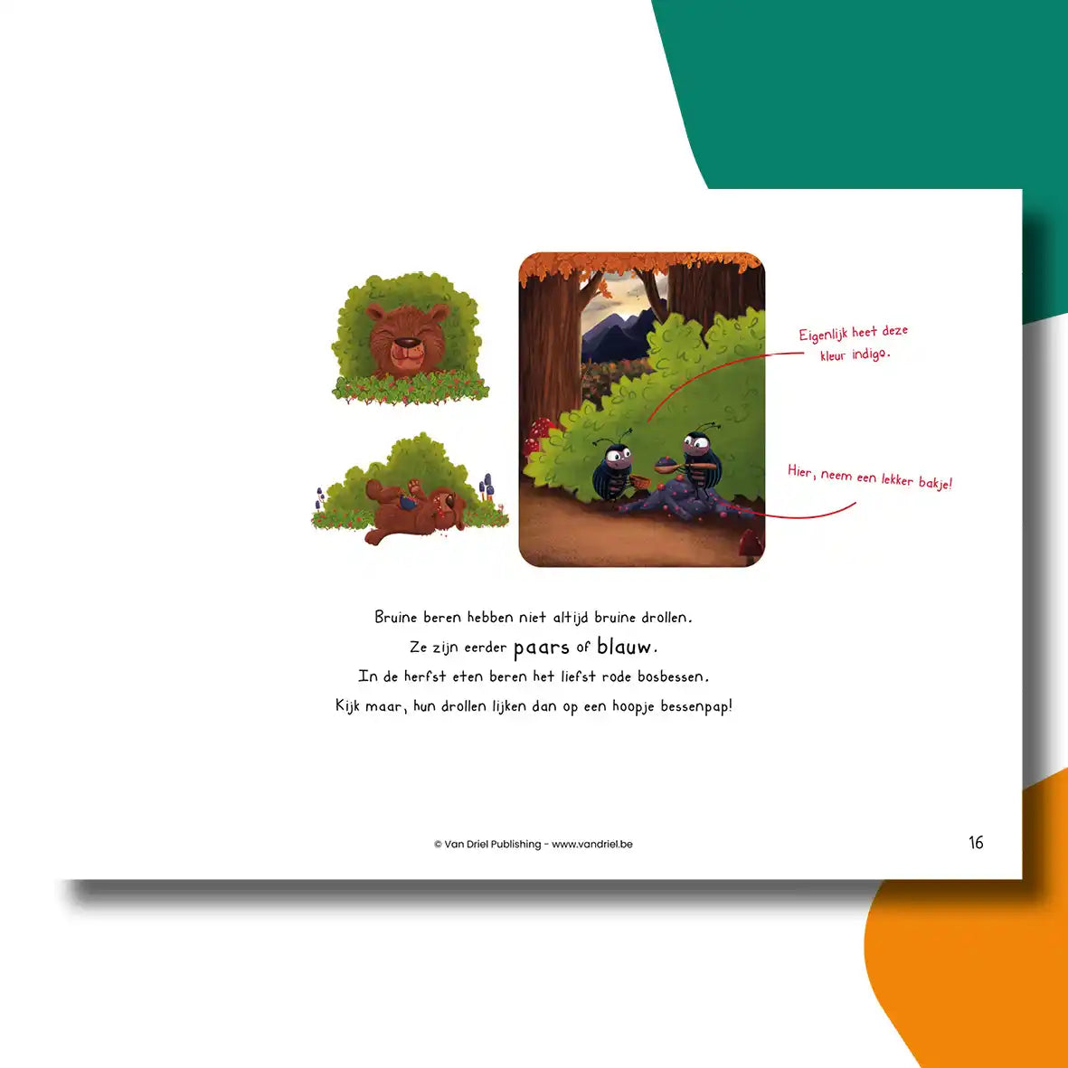 Regenboogdrol | Kamishibai vertelplaten